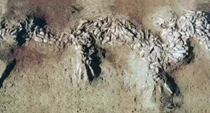 博羅縣行政文化中心劇場(chǎng)音響品牌 博羅縣行政文化中心劇場(chǎng)音響品牌